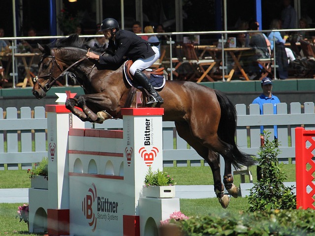 年轻阵容中 年轻阵容中