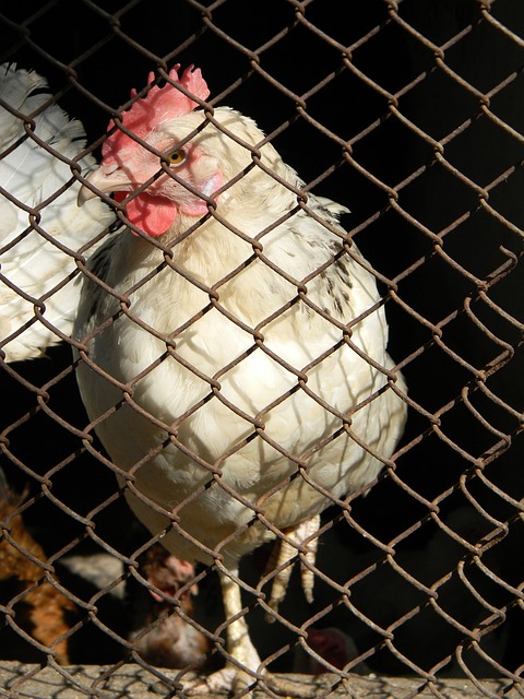 的一场焦点 的一场焦点