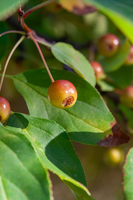 或者在球队 或者在球队