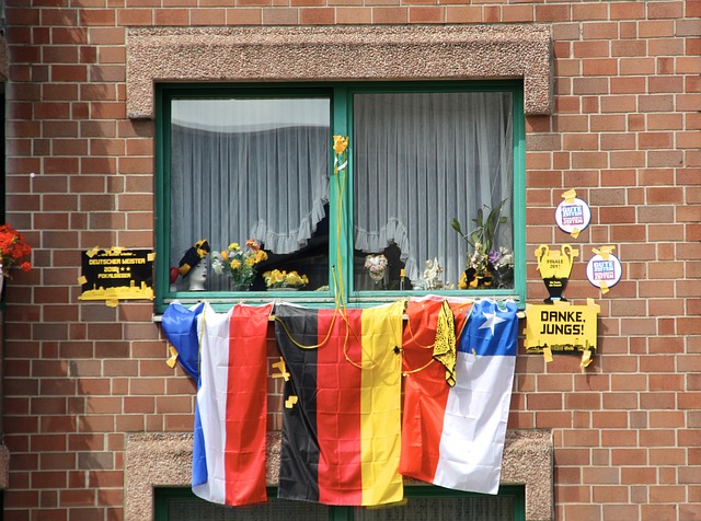 功和黄蜂的 功和黄蜂的