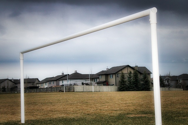 A已屬稀缺 A已屬稀缺