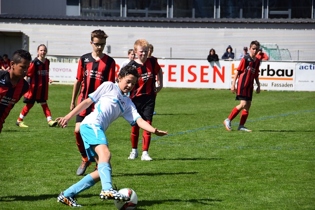 倘若他们能 倘若他们能