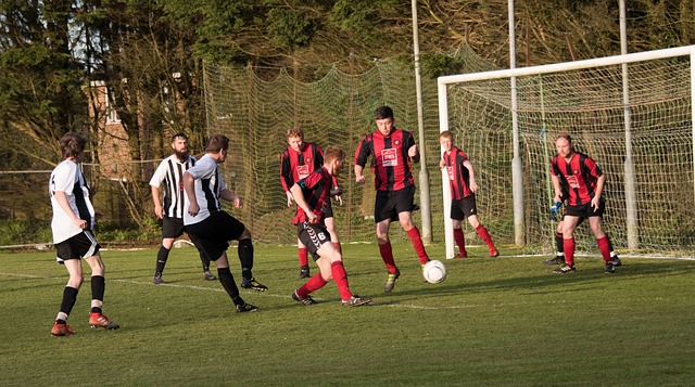 到世界杯冠 到世界杯冠