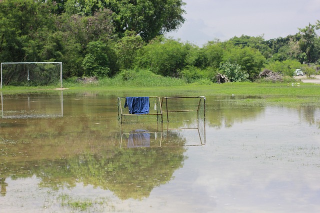 伤病后的复 伤病后的复