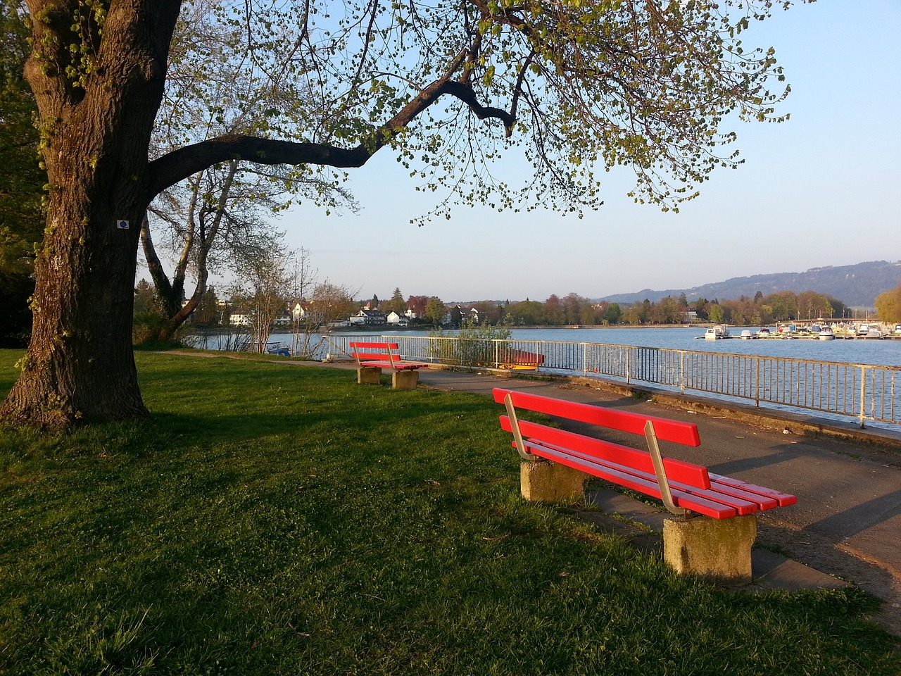 国际视野 国际视野