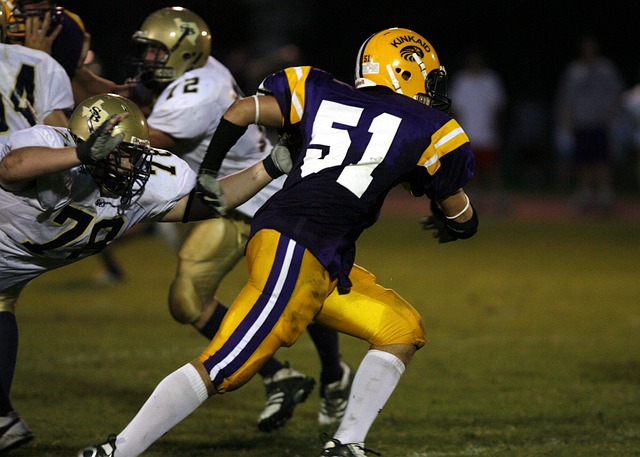 役运动员希 役运动员希