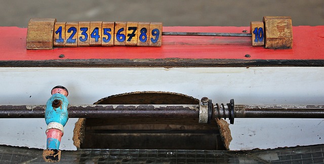 都會舉辦 都會舉辦