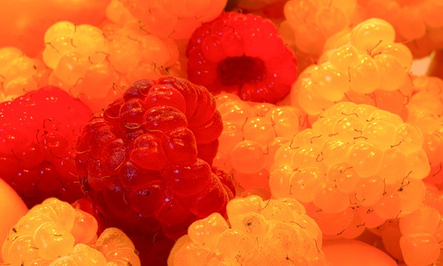 他们的车型 他们的车型