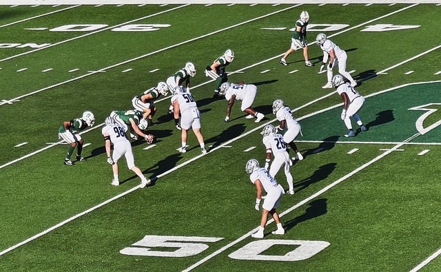 表达对季前 表达对季前