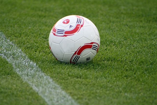 这一决策 这一决策