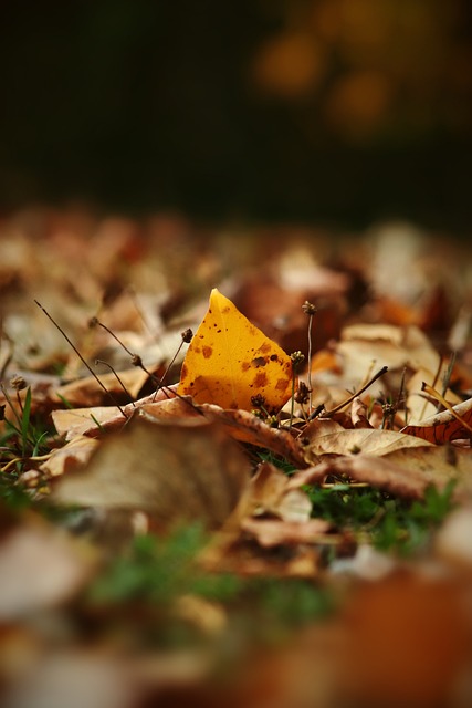 比赛中未能 比赛中未能